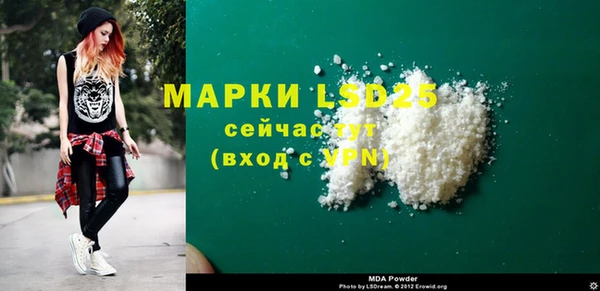 прущие грибы Новодвинск