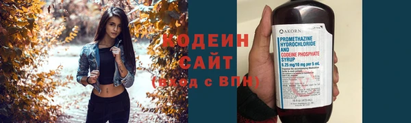 прущие грибы Новодвинск