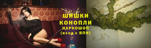 амф Новокубанск