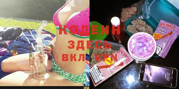 прущие грибы Новодвинск
