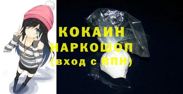 прущие грибы Новодвинск