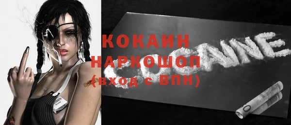 прущие грибы Новодвинск