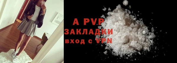 прущие грибы Новодвинск