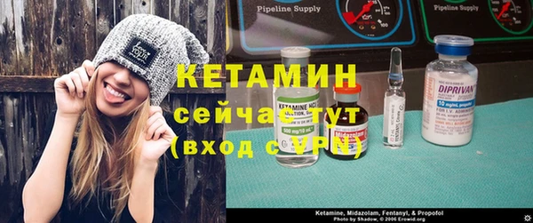 прущие грибы Новодвинск