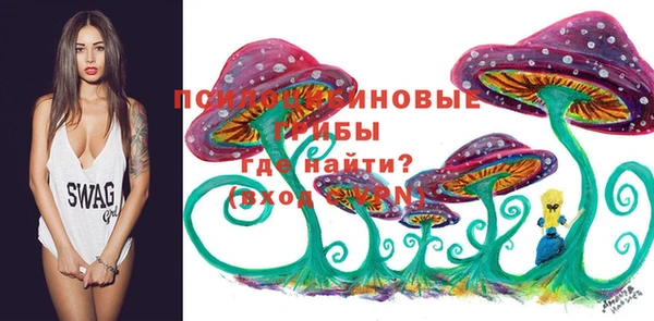ешки Балахна
