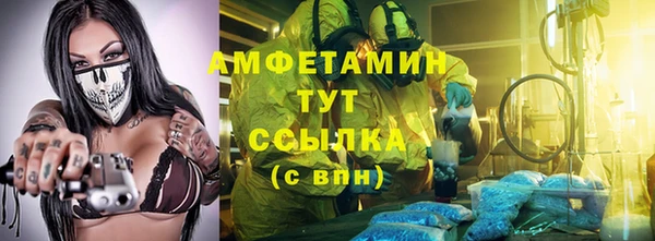 прущие грибы Новодвинск