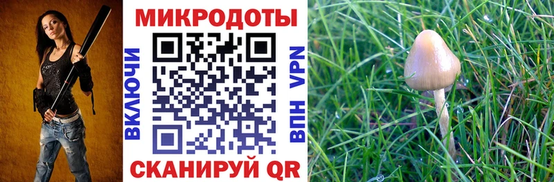 Галлюциногенные грибы Cubensis  Кострома 