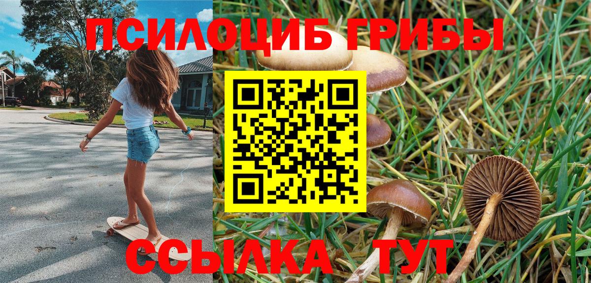 Псилоцибиновые грибы Psilocybine cubensis Кострома
